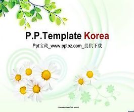 韓國淡雅樹葉菊花ppt模板