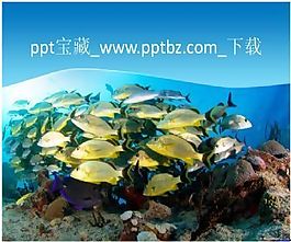漂亮的海底世界PPT模板