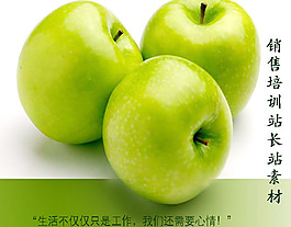 業(yè)務(wù)員培訓(xùn)PPT模板