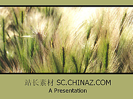 草原風(fēng)景ppt模板下載