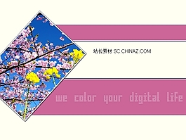 粉色桃花PPT模板下載