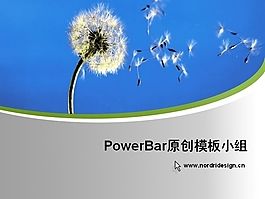 蒲公英PPT模板下載