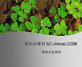 三葉草PPT模板下載