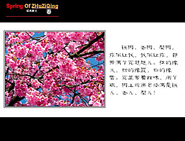 春天朗誦PPT模板下載
