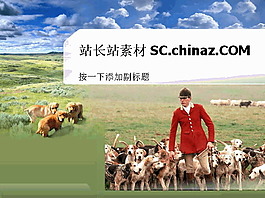牧場生活PPT模板下載