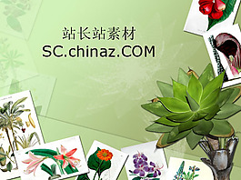 藝術(shù)作品PPT模板下載