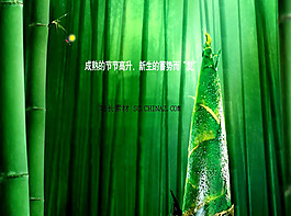 竹林綠筍PPT模板下載
