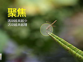 網(wǎng)絡(luò)游戲市場分析報告ppt模板