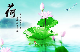 荷花和錦鯉