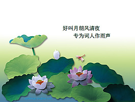 荷塘蜻蜓ppt模板