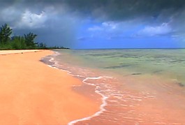 海水