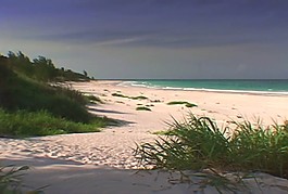 海灘