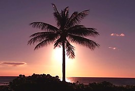 海灘風(fēng)景素材下載