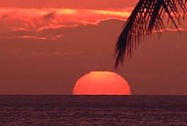 海洋