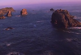 大海