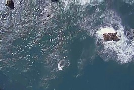 海岸
