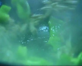 餐飲視頻素材素材下載