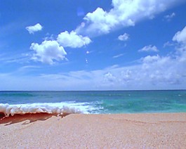 海灘