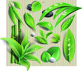 清新的叶子