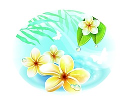 水中的雞蛋花