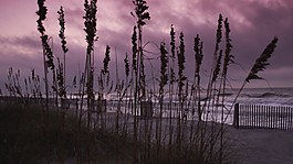 海灘