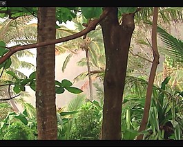 海灘風(fēng)景素材下載