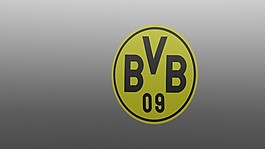 BVB