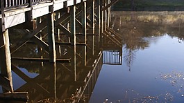 水中的橋