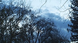 天空