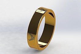 金戒指