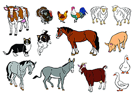 農(nóng)場動物