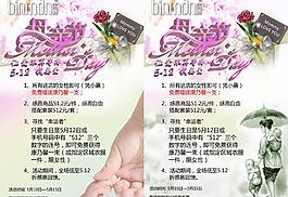 母親節 康乃馨圖片