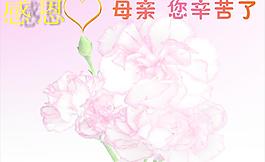 母親節(jié)圖片