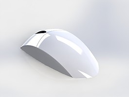 小鼠体内