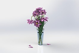 花瓶里的花