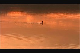 夕陽(yáng)視頻素材素材下載