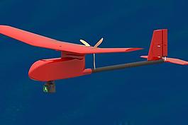 RQ-11烏鴉