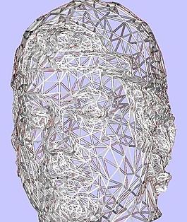 raf-head-net