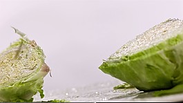 包菜
