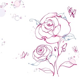 玫瑰花