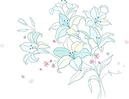 百合花