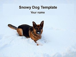 雪狗模板