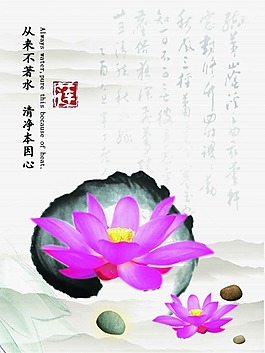 蓮