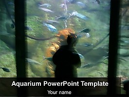 水族館的模板