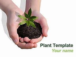 植物的PPT模板
