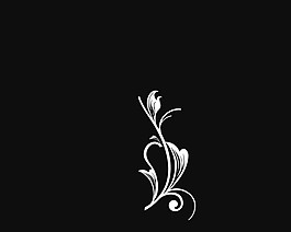 花紋轉(zhuǎn)場視頻素材