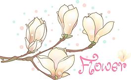枝子花