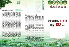 茶葉傳單圖片