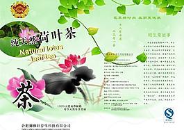 茶葉 包裝圖片