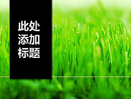 嫩芽綠草ppt模板
